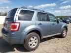 2010 FORD ESCAPE