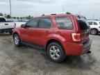 2010 FORD ESCAPE