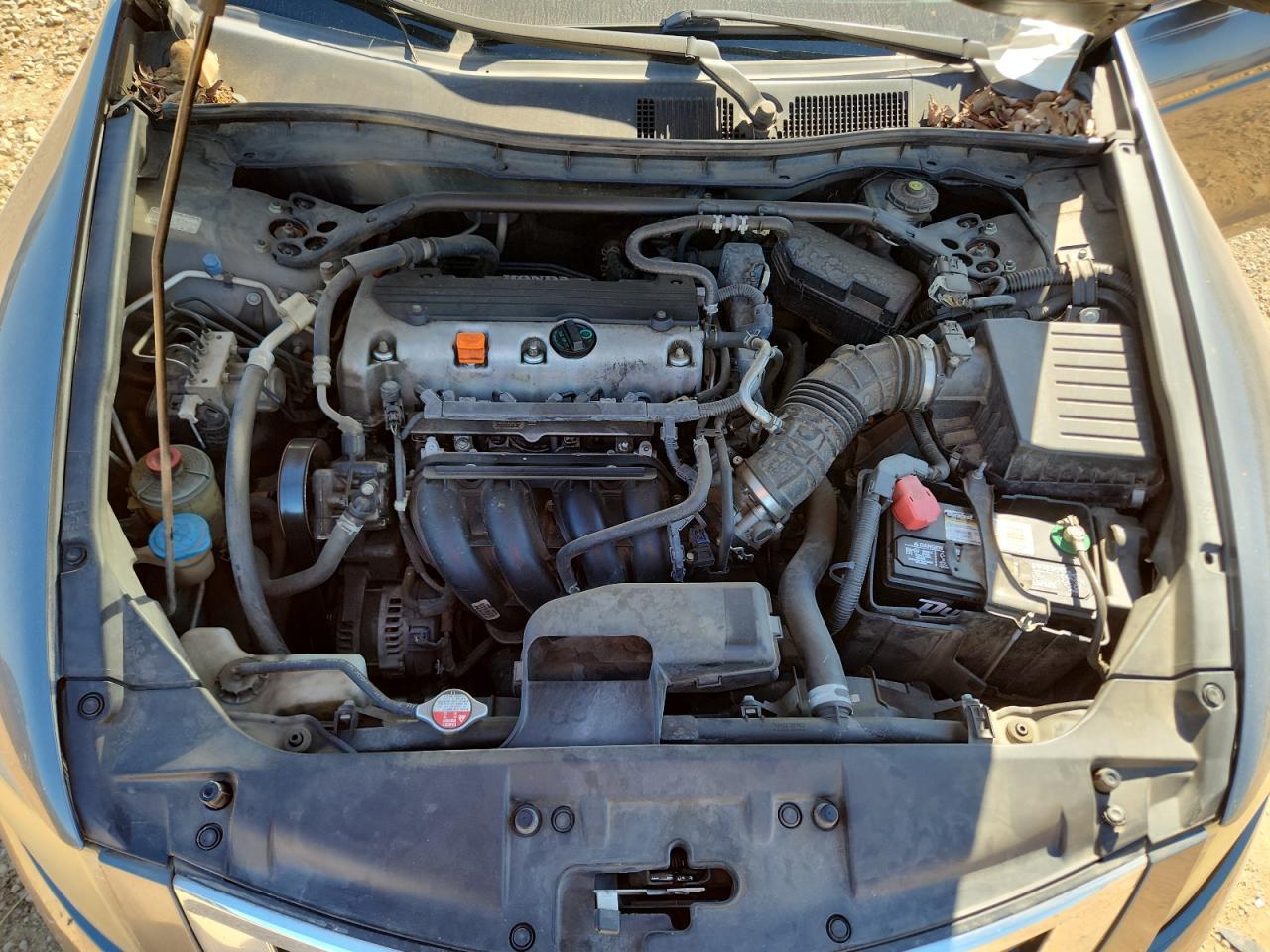 2010 HONDA ACCORD