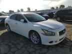 2009 NISSAN Maxima