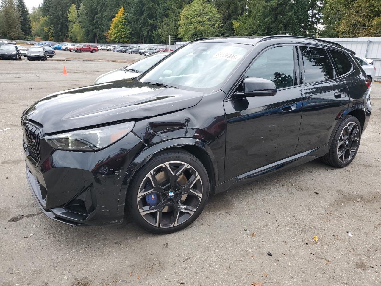 2024 BMW X1