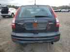 2010 HONDA CR-V