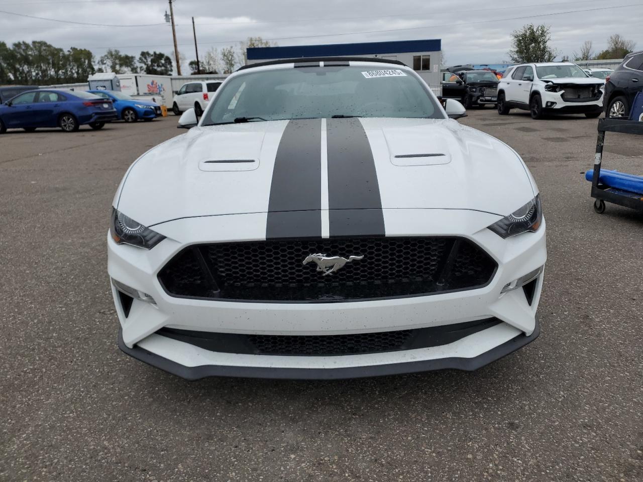 2019 FORD MUSTANG
