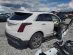 2024 CADILLAC XT5