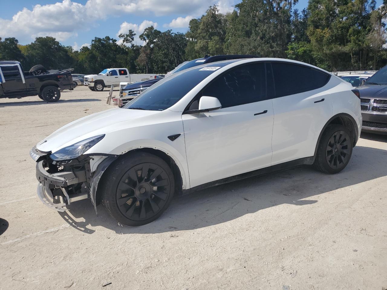 2025 TESLA MODEL Y