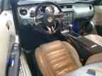 2010 FORD MUSTANG
