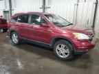 2010 HONDA CR-V