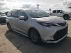 2024 TOYOTA SIENNA