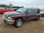 2004 DODGE Dakota