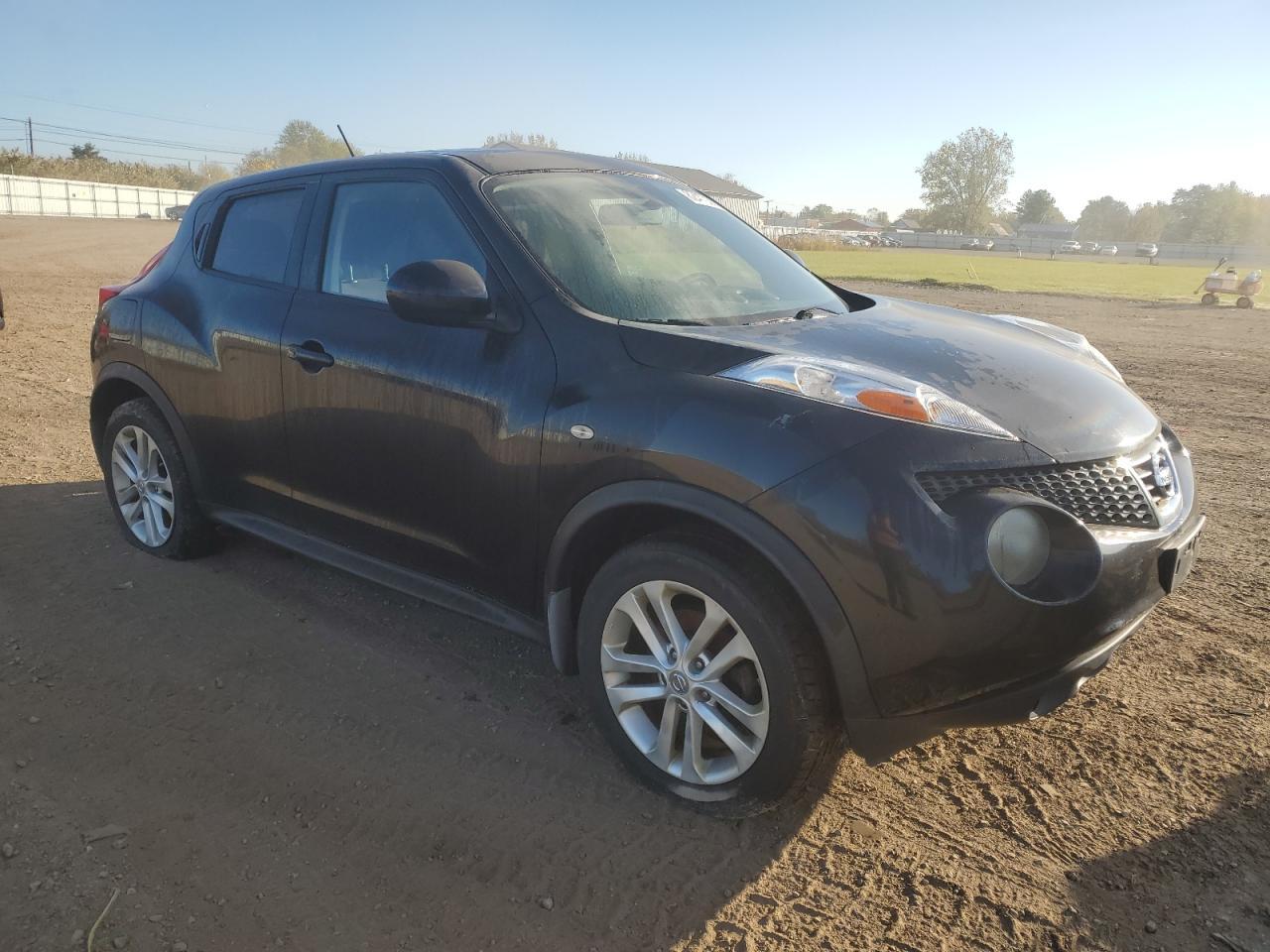2011 NISSAN Juke