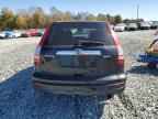 2010 HONDA CR-V