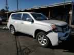 2010 LEXUS GX 460
