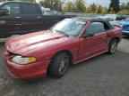 1998 FORD MUSTANG