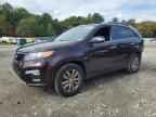 2011 KIA SORENTO