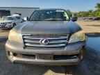 2010 LEXUS GX 460