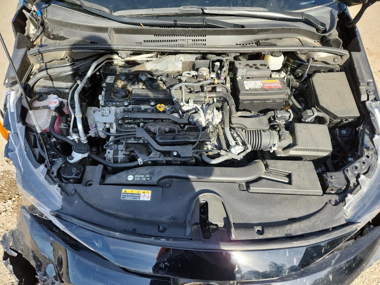2023 TOYOTA COROLLA