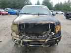 2009 FORD F-150