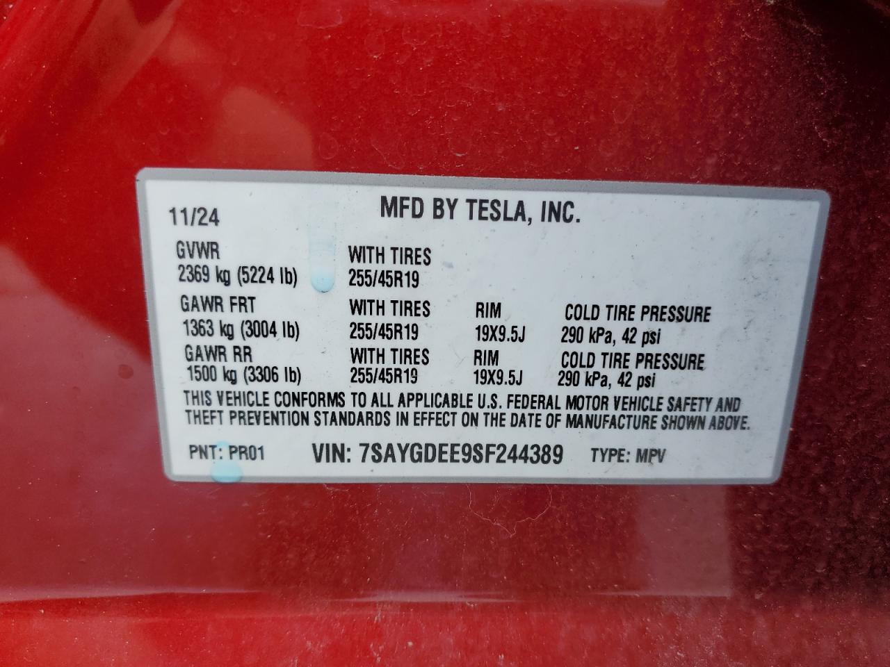 2025 TESLA MODEL Y