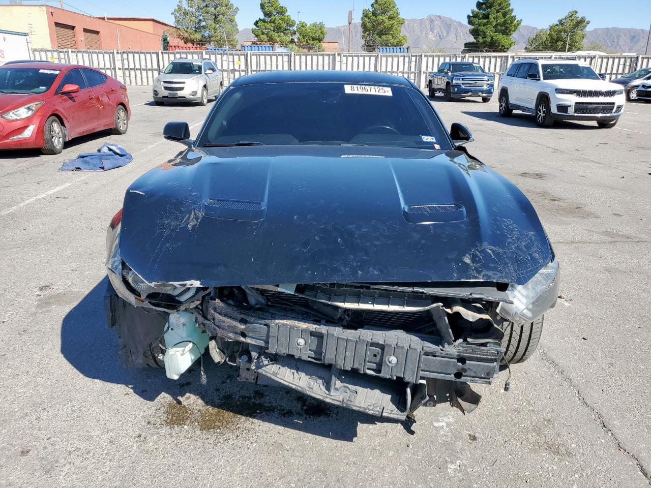 2019 FORD MUSTANG