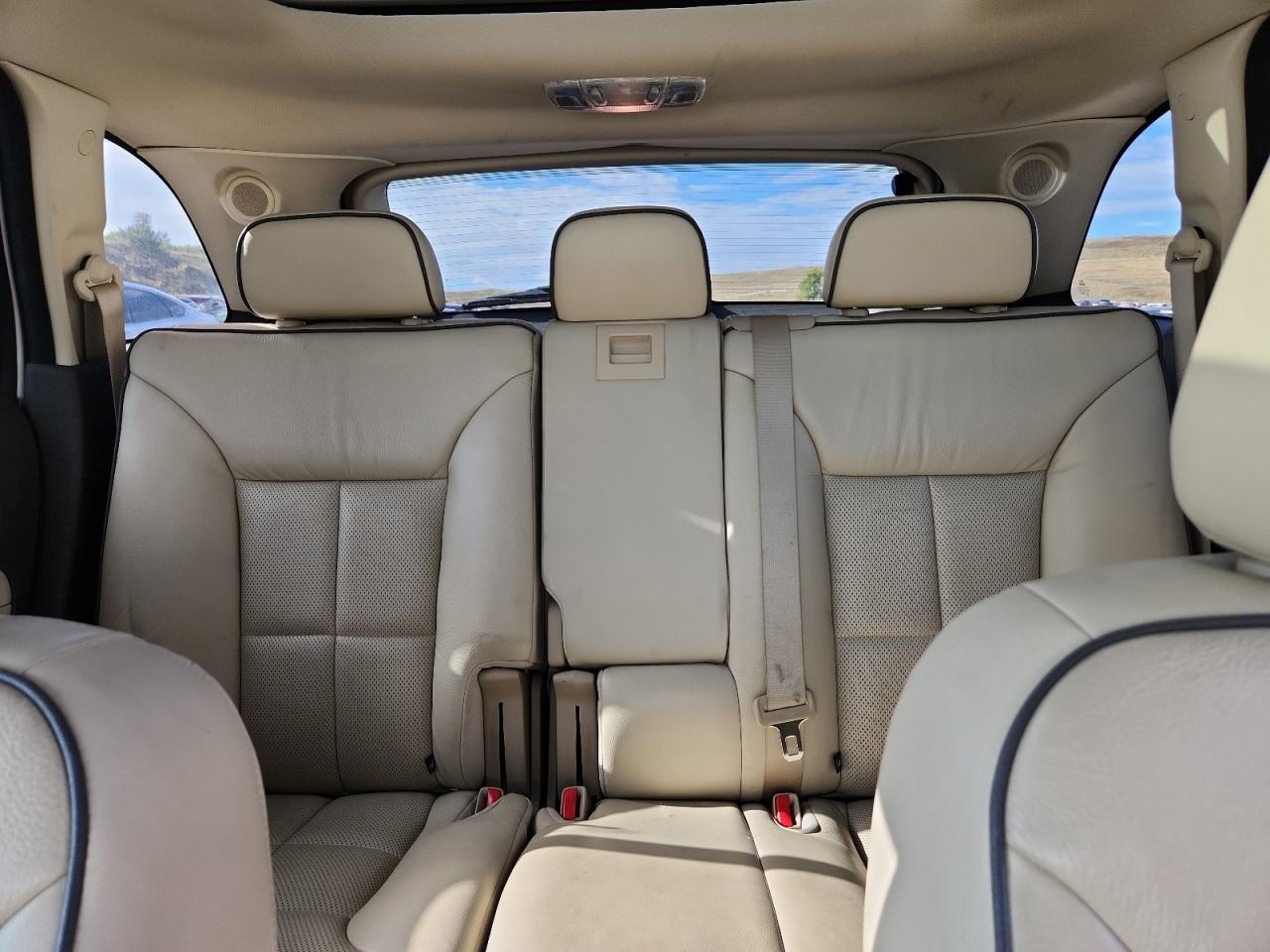 2010 LINCOLN MKX