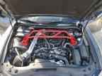 2024 LEXUS IS 350
