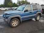 2004 JEEP Liberty