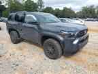 2025 TOYOTA 4Runner