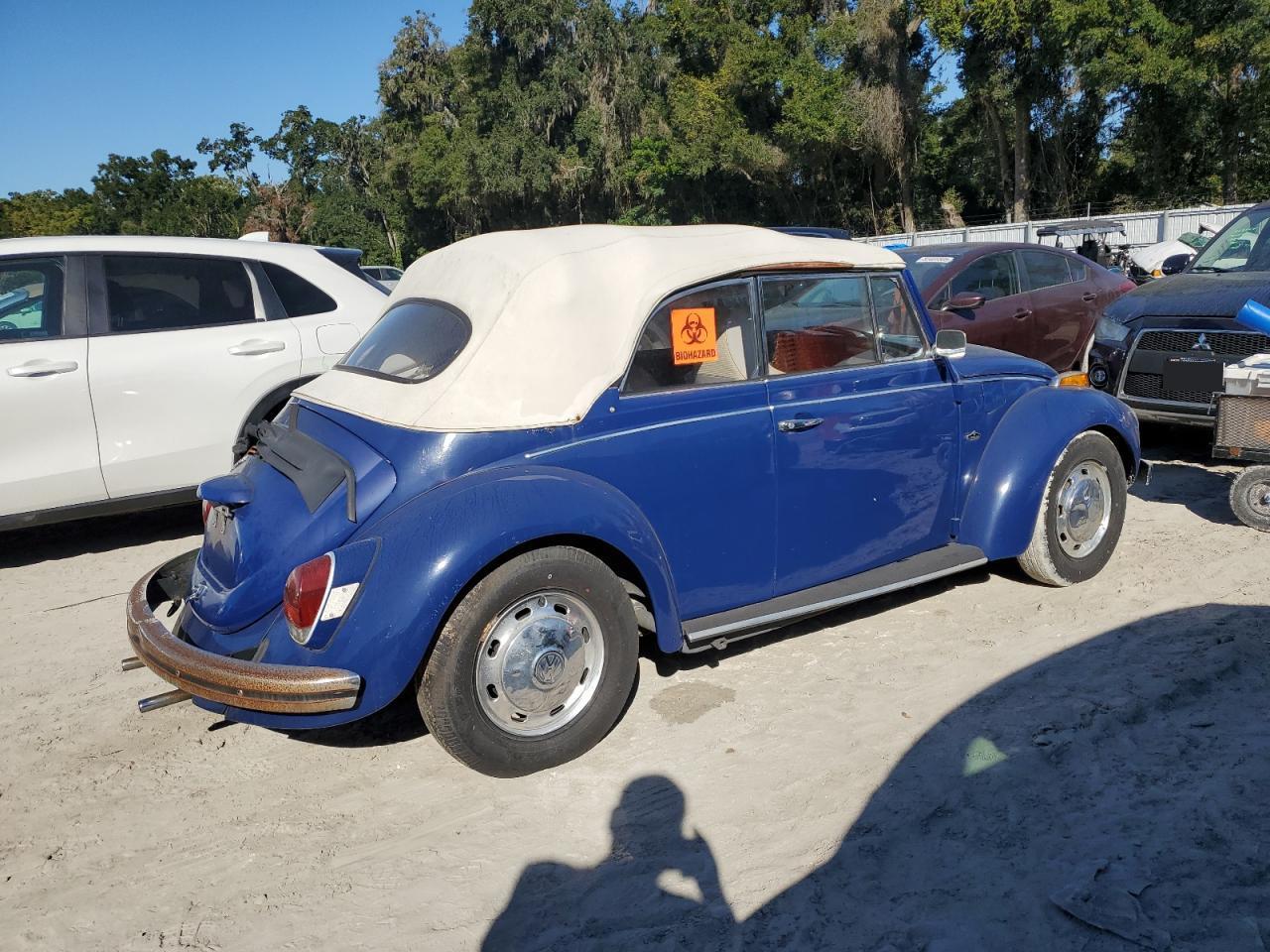 1971 VOLKSWAGEN Beetle