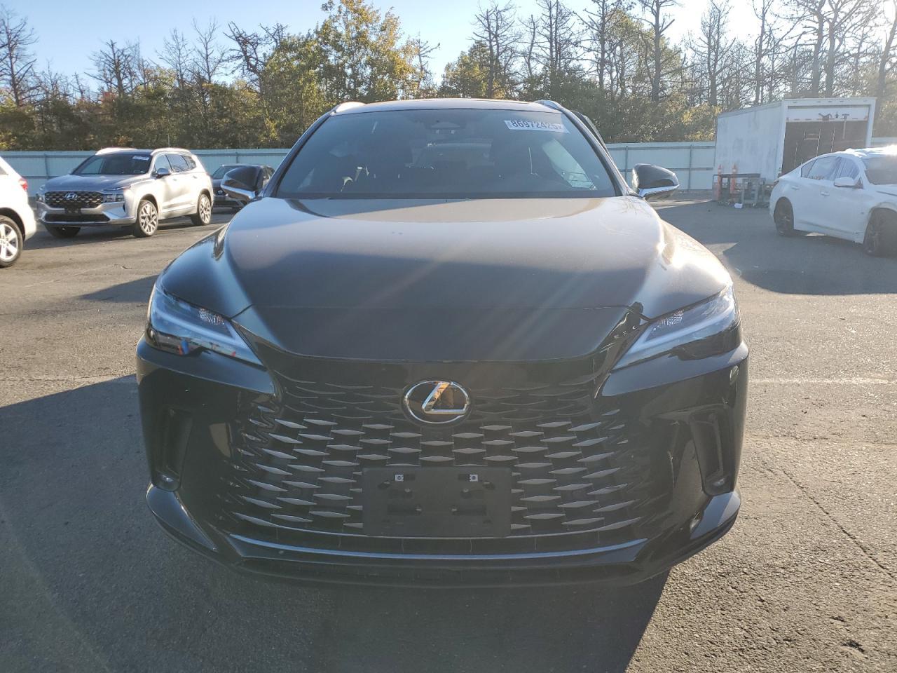 2025 LEXUS Rx