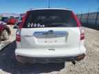 2007 HONDA CR-V