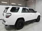 2024 TOYOTA 4Runner