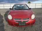 2005 DODGE Neon