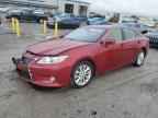 2013 LEXUS ES 300H