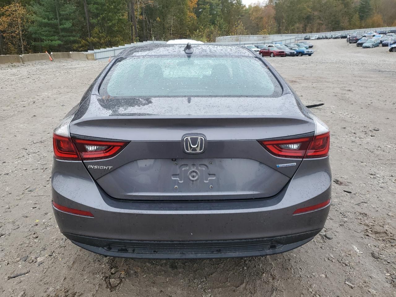 2019 HONDA Insight