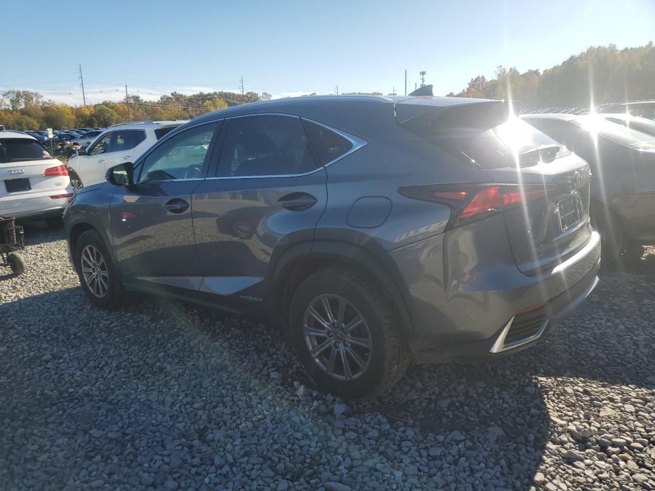 2020 LEXUS Nx