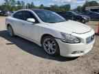 2013 NISSAN Maxima