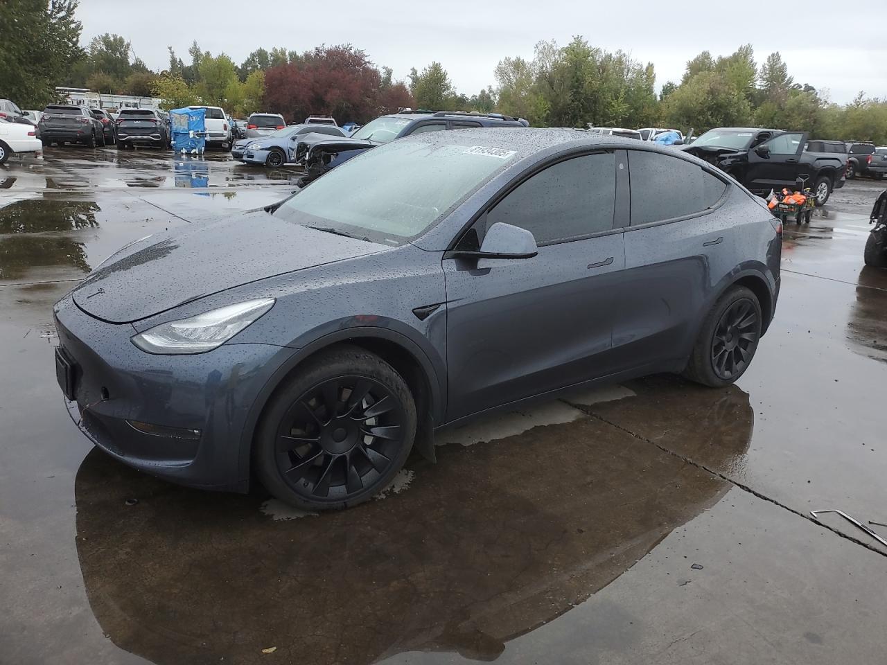 2021 TESLA MODEL Y