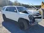2024 TOYOTA 4Runner