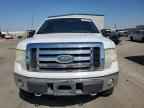 2009 FORD F-150