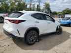 2024 LEXUS Nx