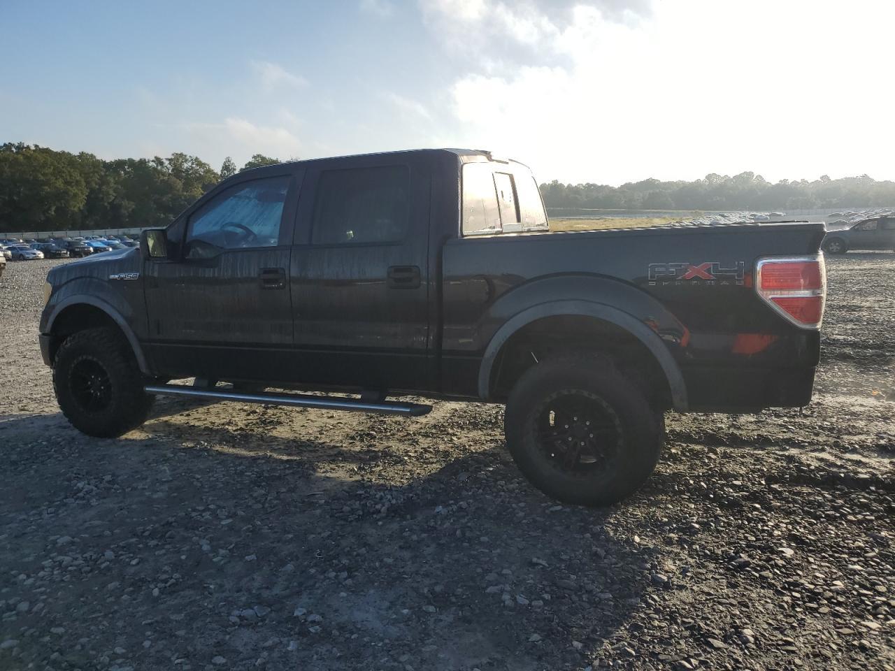 2010 FORD F-150