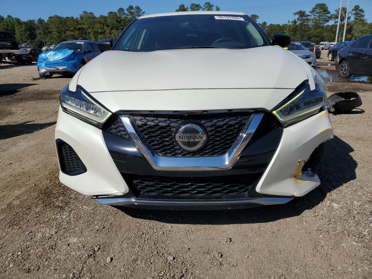 2019 NISSAN Maxima