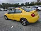 2004 DODGE Neon