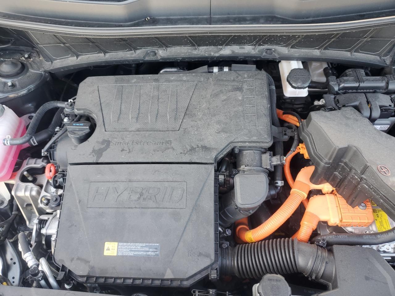 2024 KIA Niro