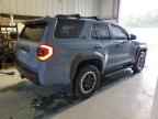 2025 TOYOTA 4Runner