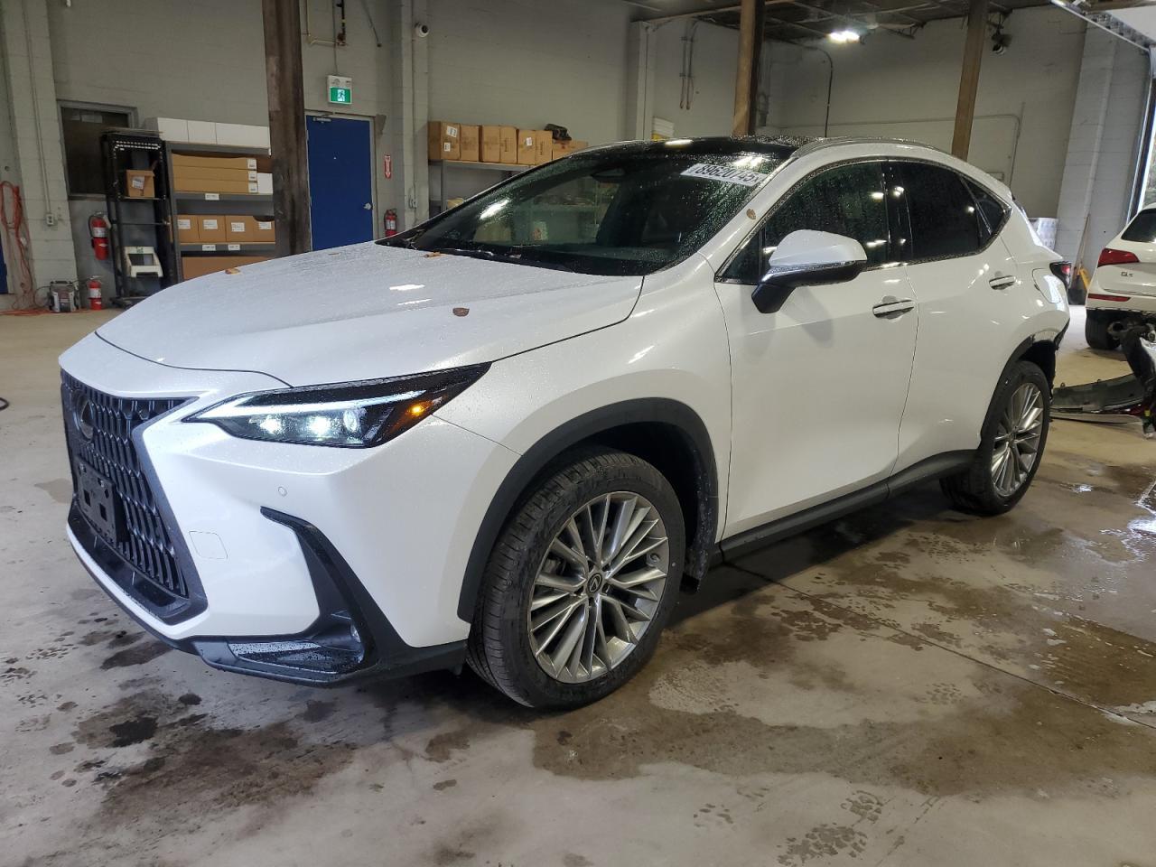 2023 LEXUS Nx
