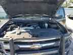 2010 CHEVROLET Silverado