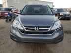 2010 HONDA CR-V