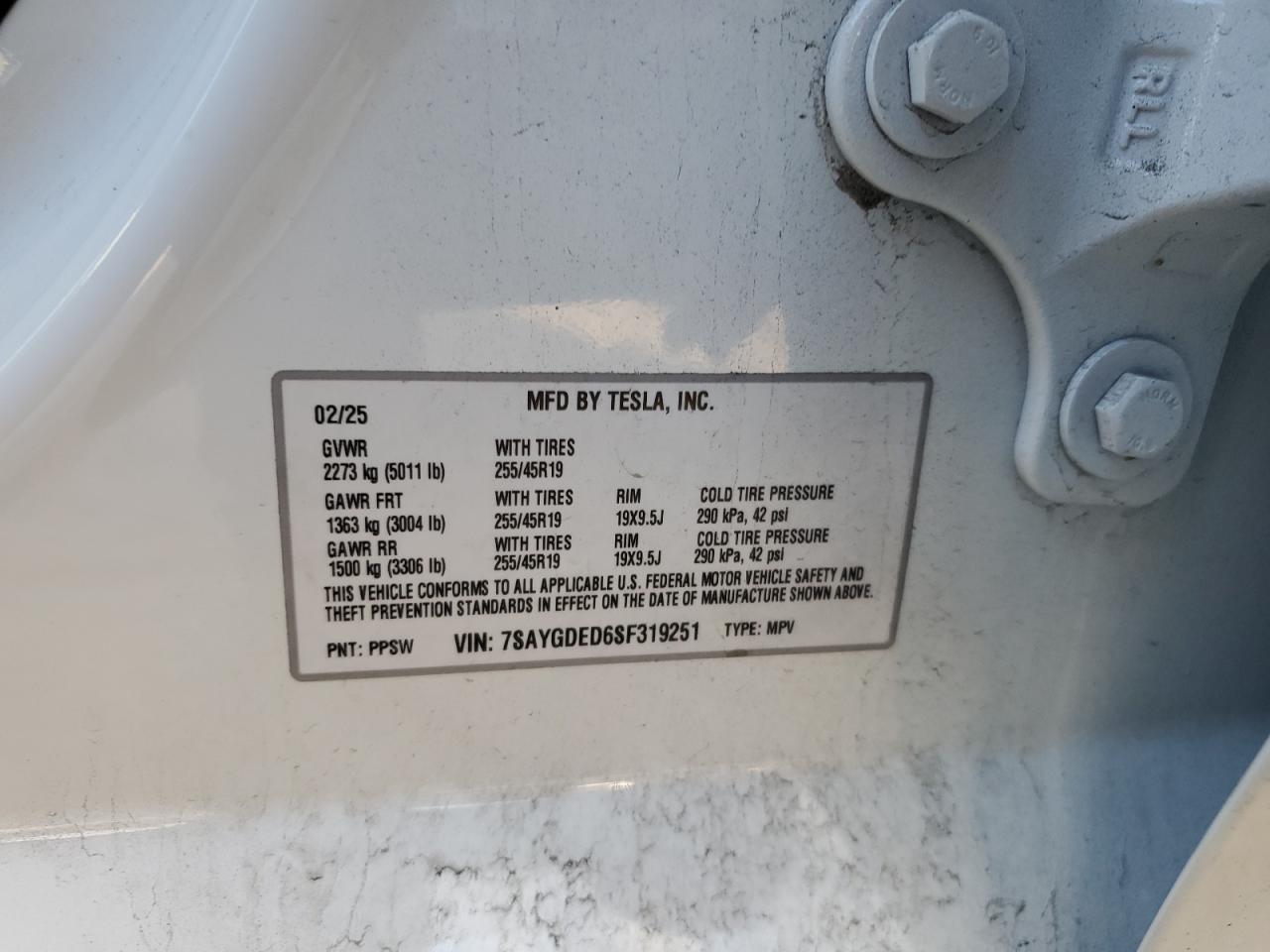 2025 TESLA MODEL Y