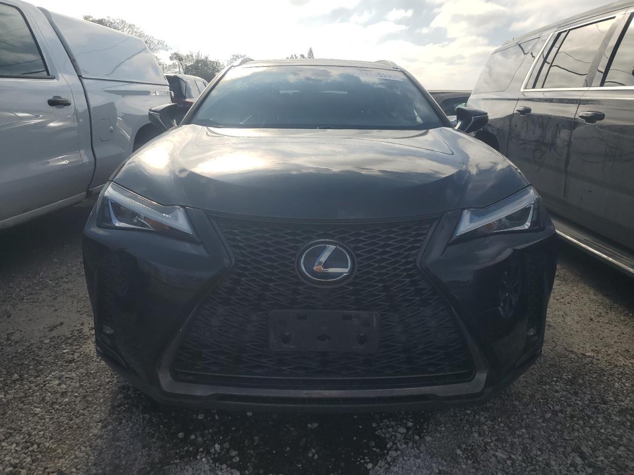 2019 LEXUS UX 250H